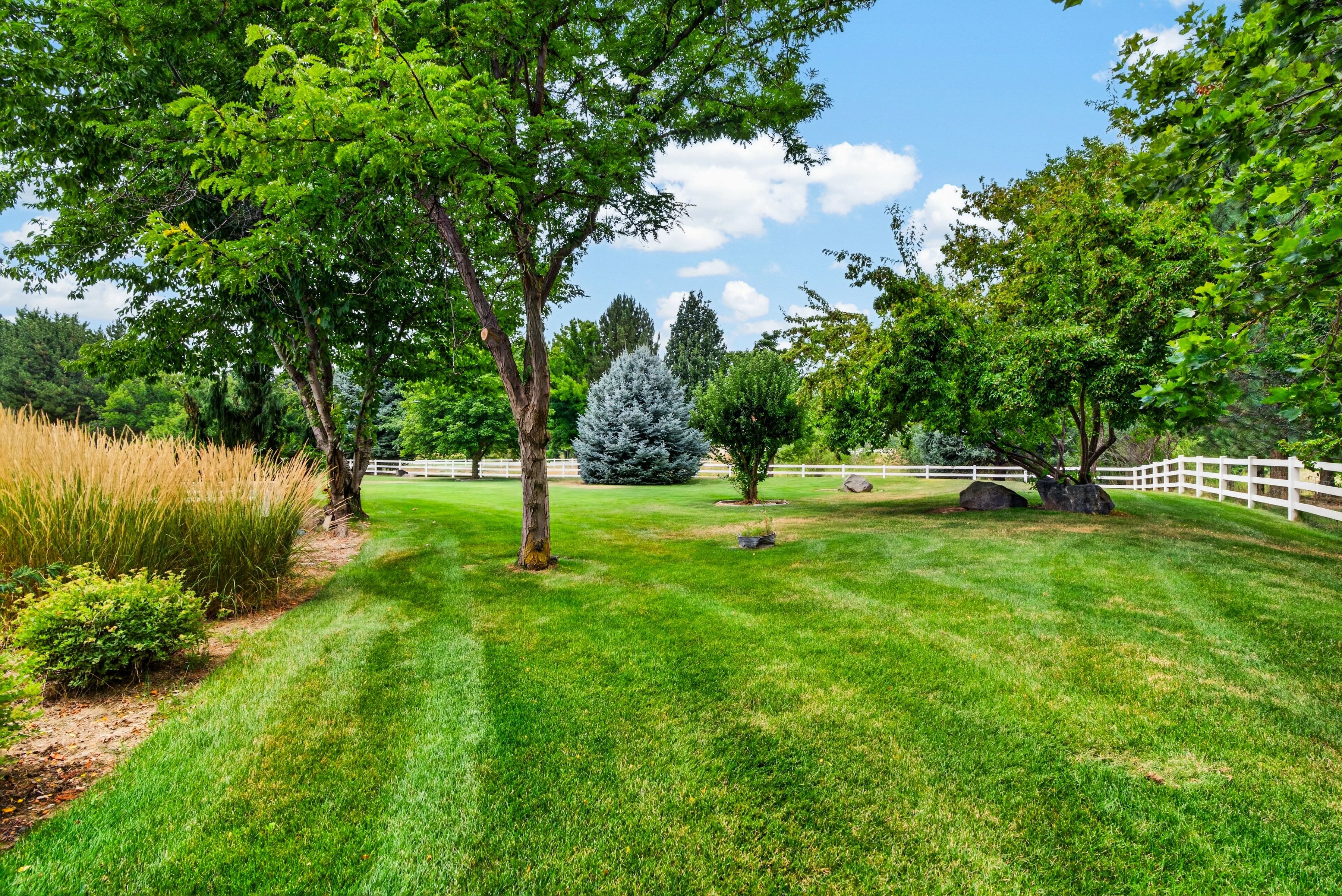  Exceptional Eagle Property - 物件實景