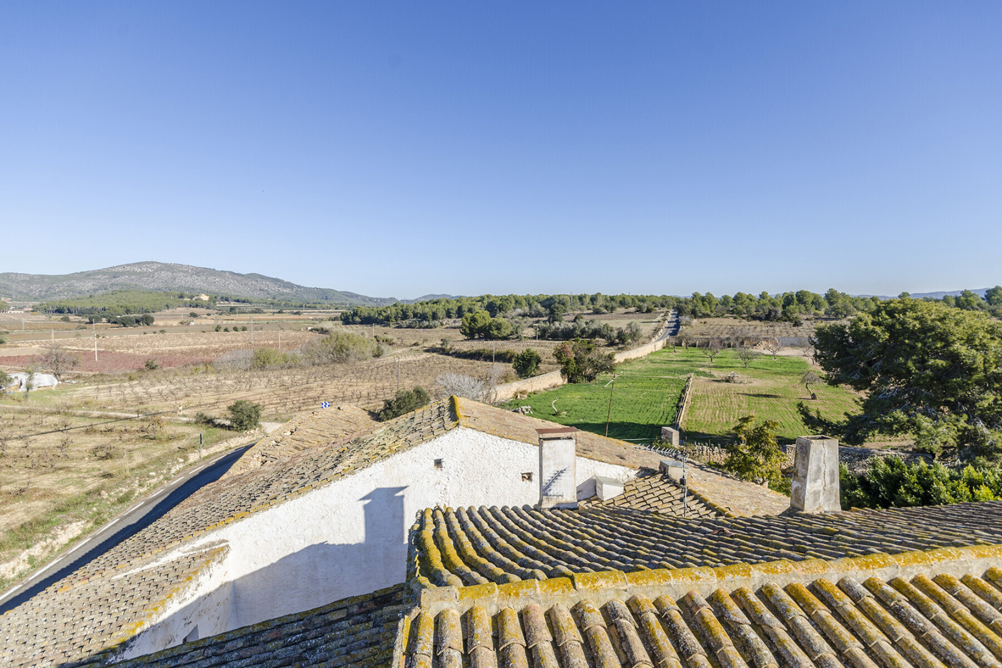  Masia with Vineyards and 3.13 Hectares in Vilanova i la Geltrú - 物件實景