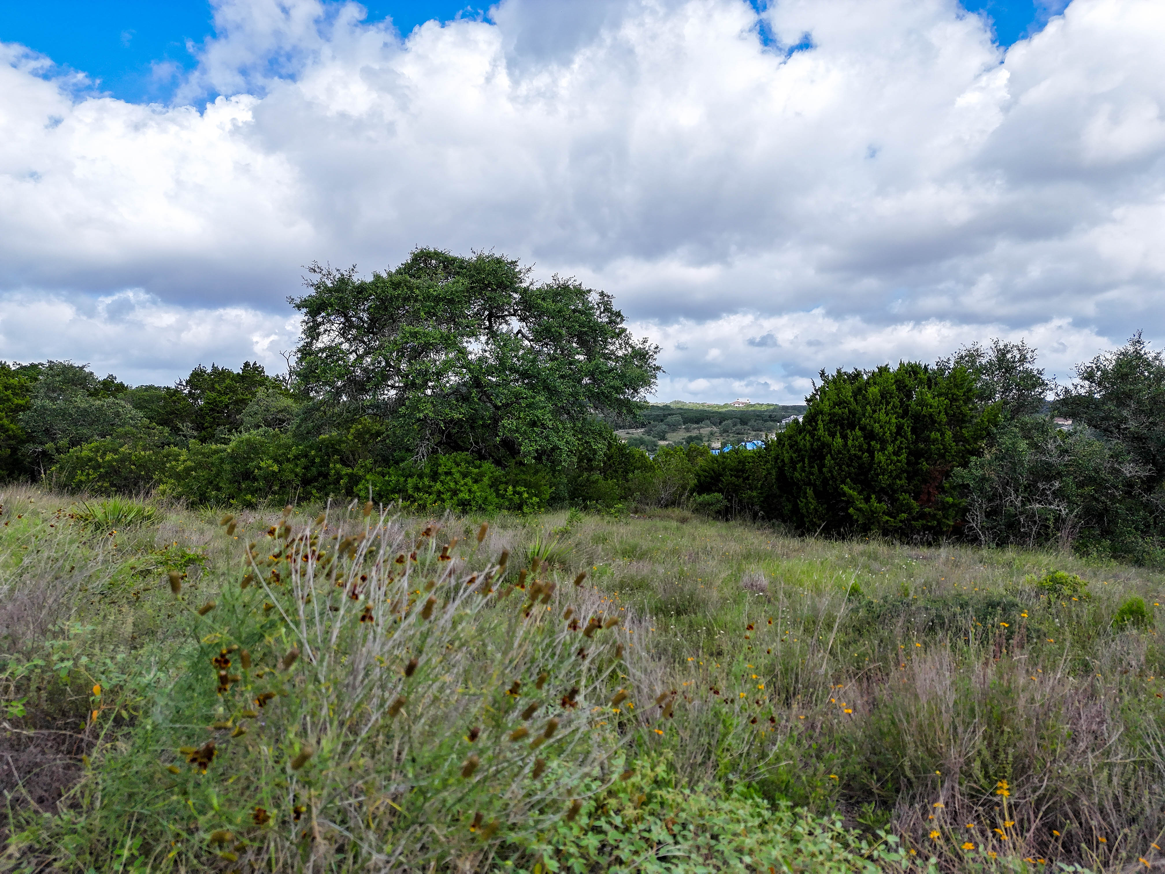  Exceptional Opportunity - Three Adjacent Lots - 物件實景