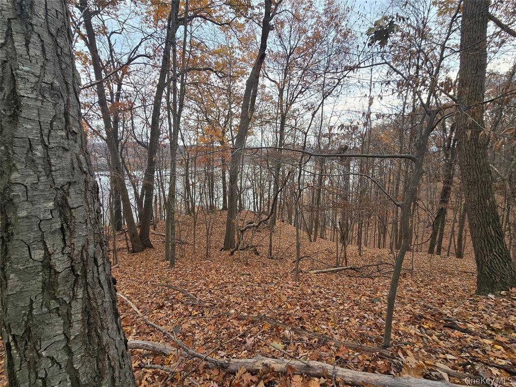 Highland, New York, 12528, United States, ,Residential,For Sale,1989942