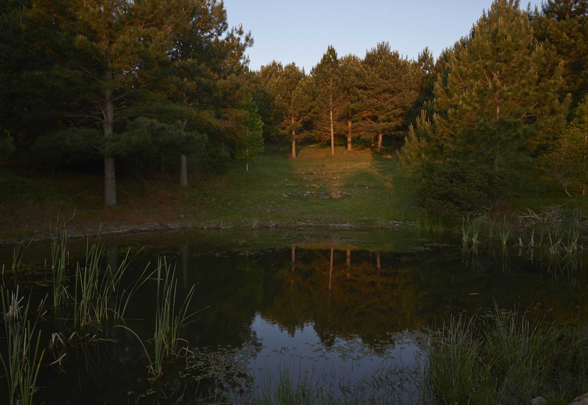  A unique farm on the Sierra de la Ballena. - 物件實景