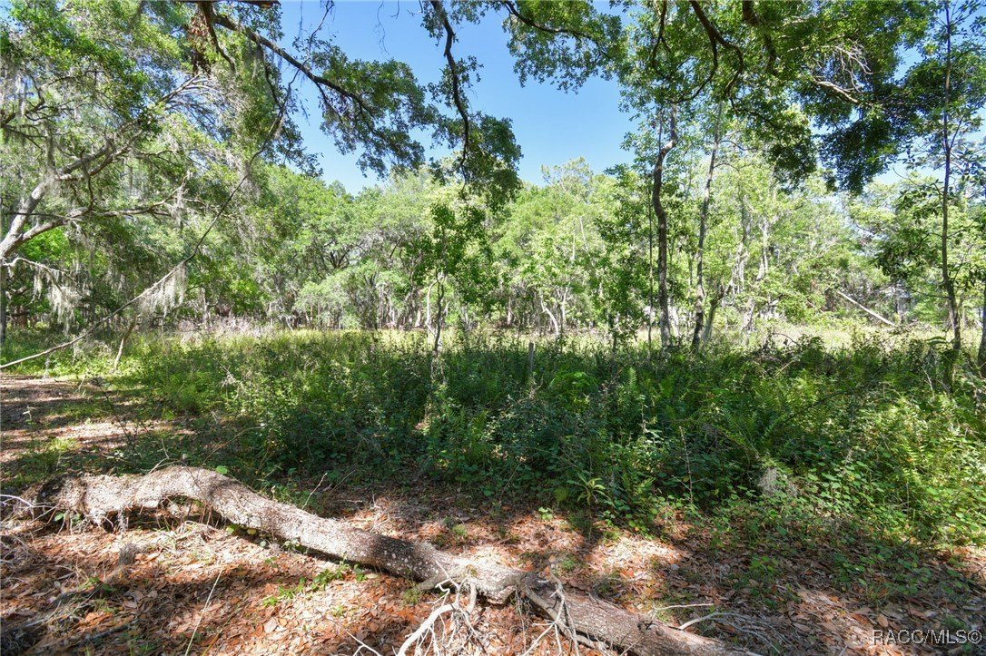 Brandon, Florida, 33511, United States, ,Land,For Sale,1981664