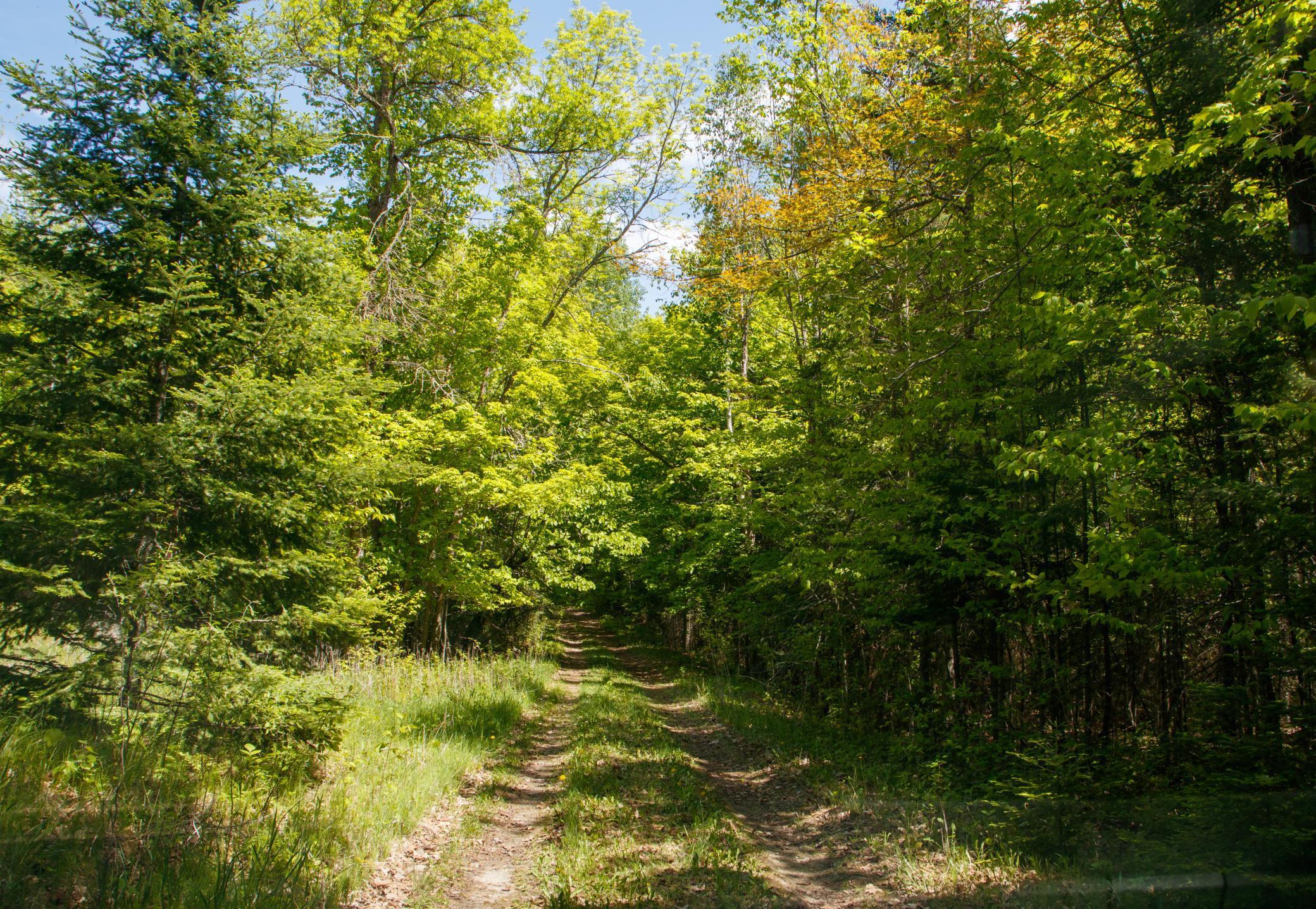 Slater Twp, Minnesota, 56672, United States, ,Land,For Sale,1837224