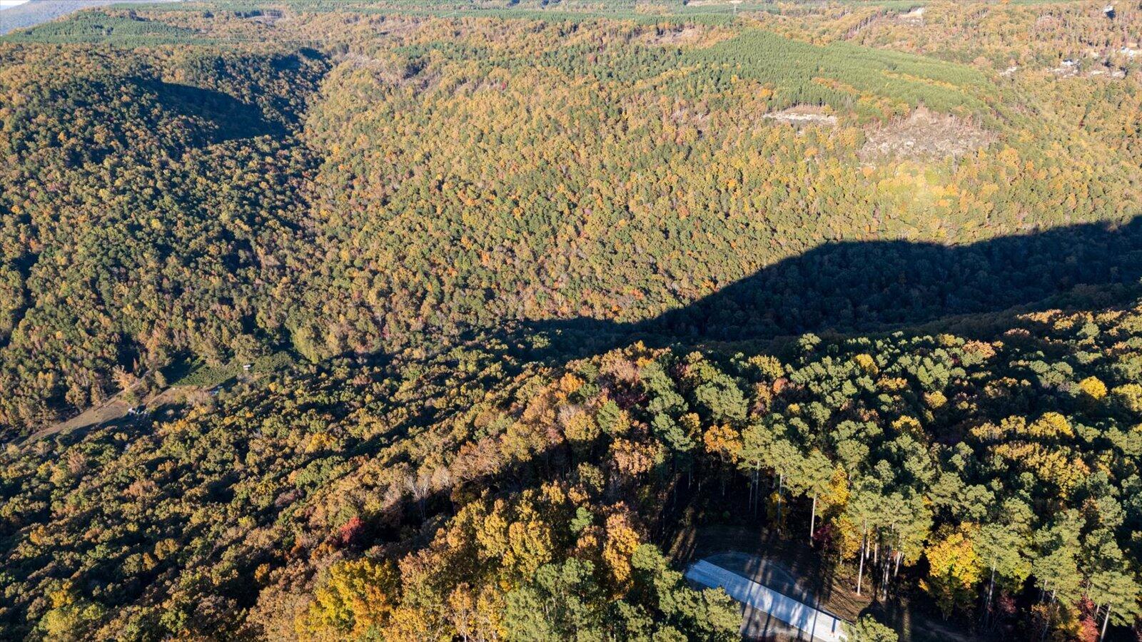 Guild, Tennessee, 37340, United States, ,Land,For Sale,1986106