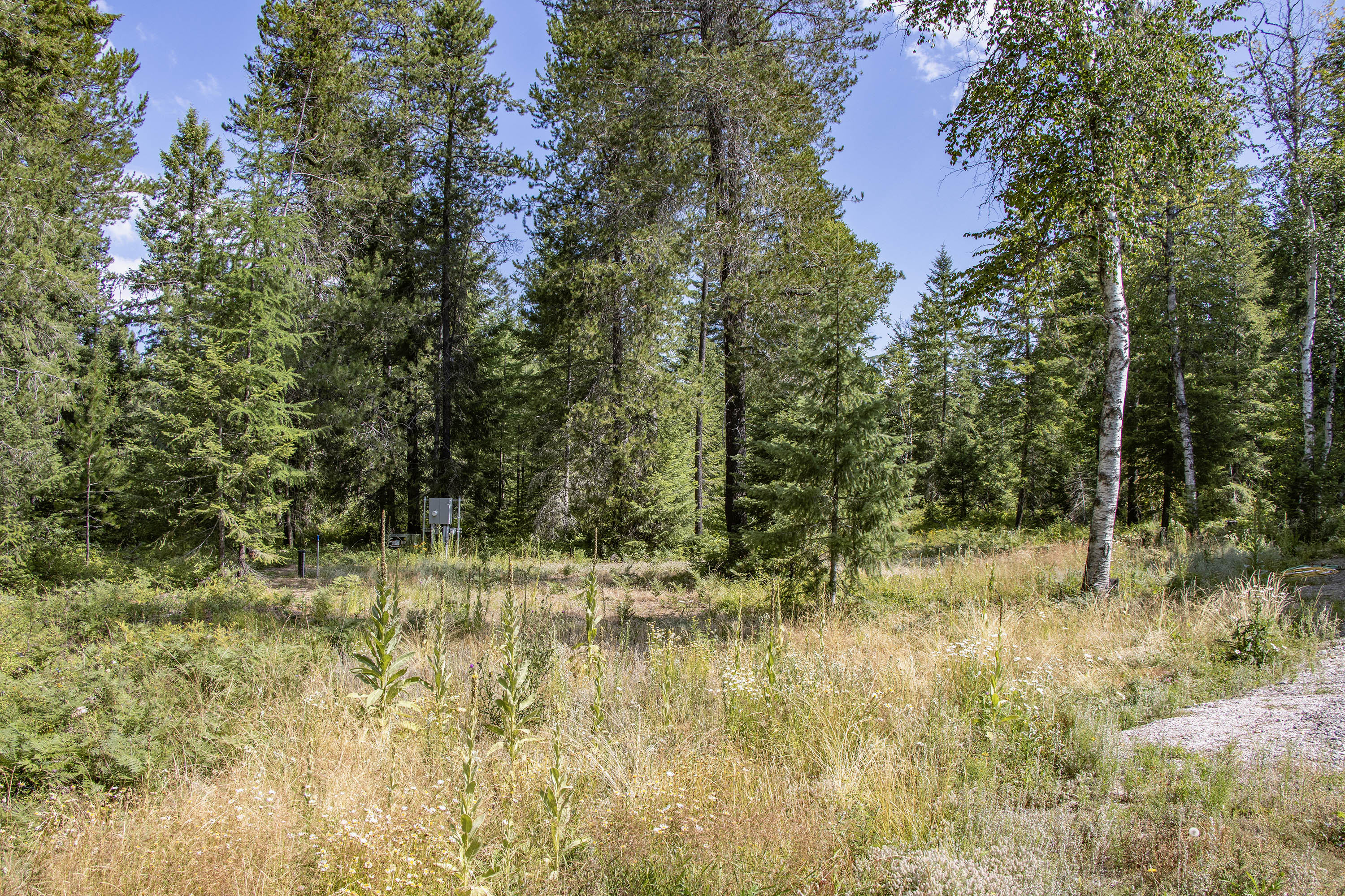Sandpoint, Idaho, 83864, United States, 3 Bedrooms Bedrooms, ,3 BathroomsBathrooms,Residential,For Sale,1905788