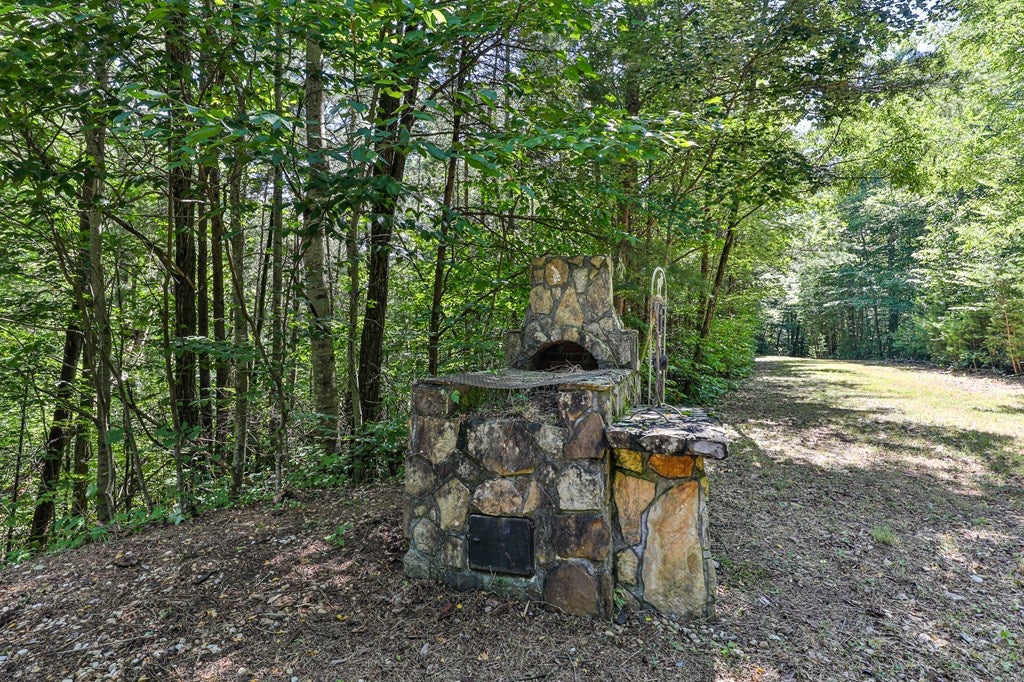 Cherry Log, Georgia, 30522, United States, ,Land,For Sale,1858995