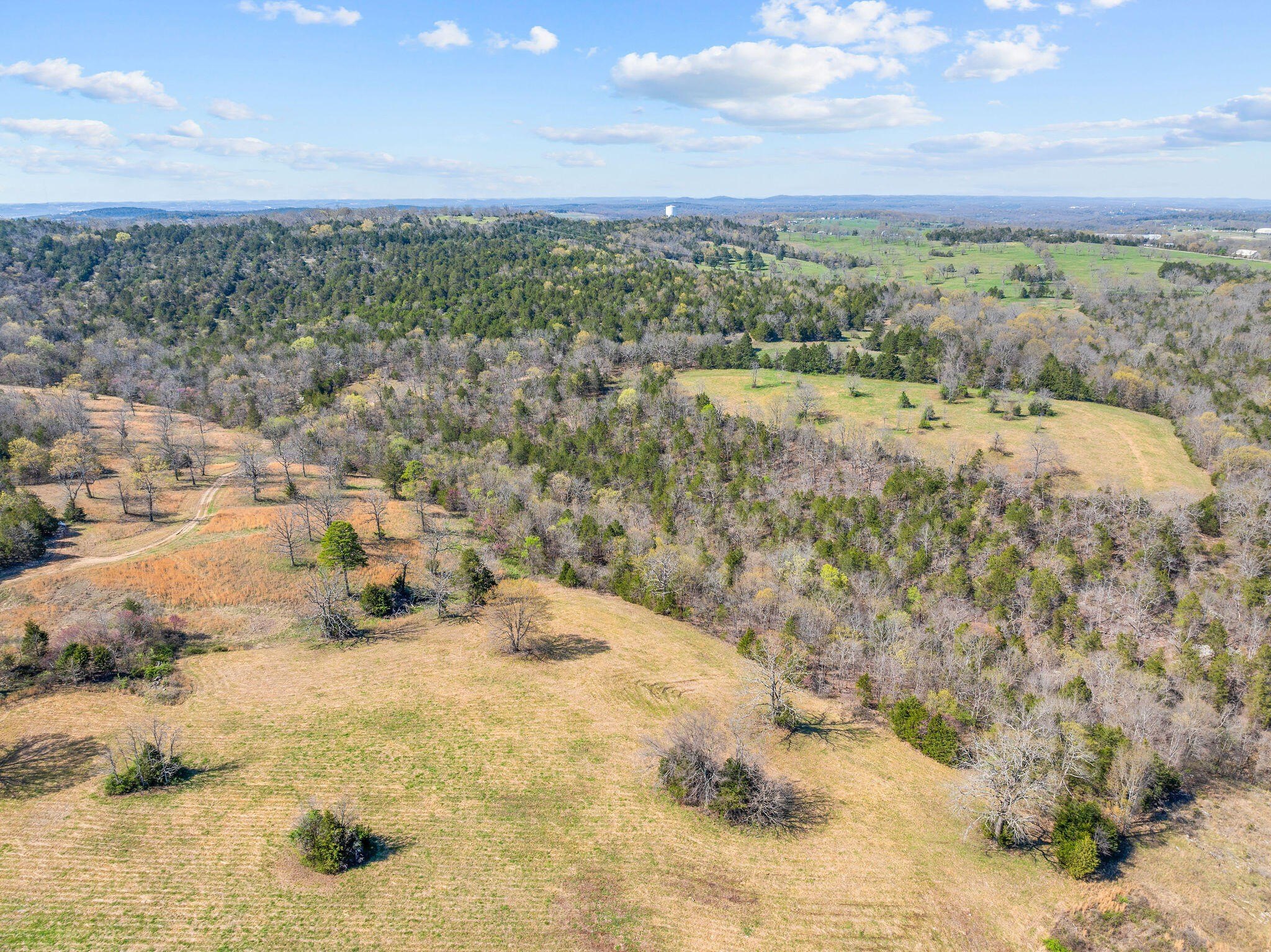 Kirbyville, Missouri, 65679, United States, ,Land,For Sale,1978892