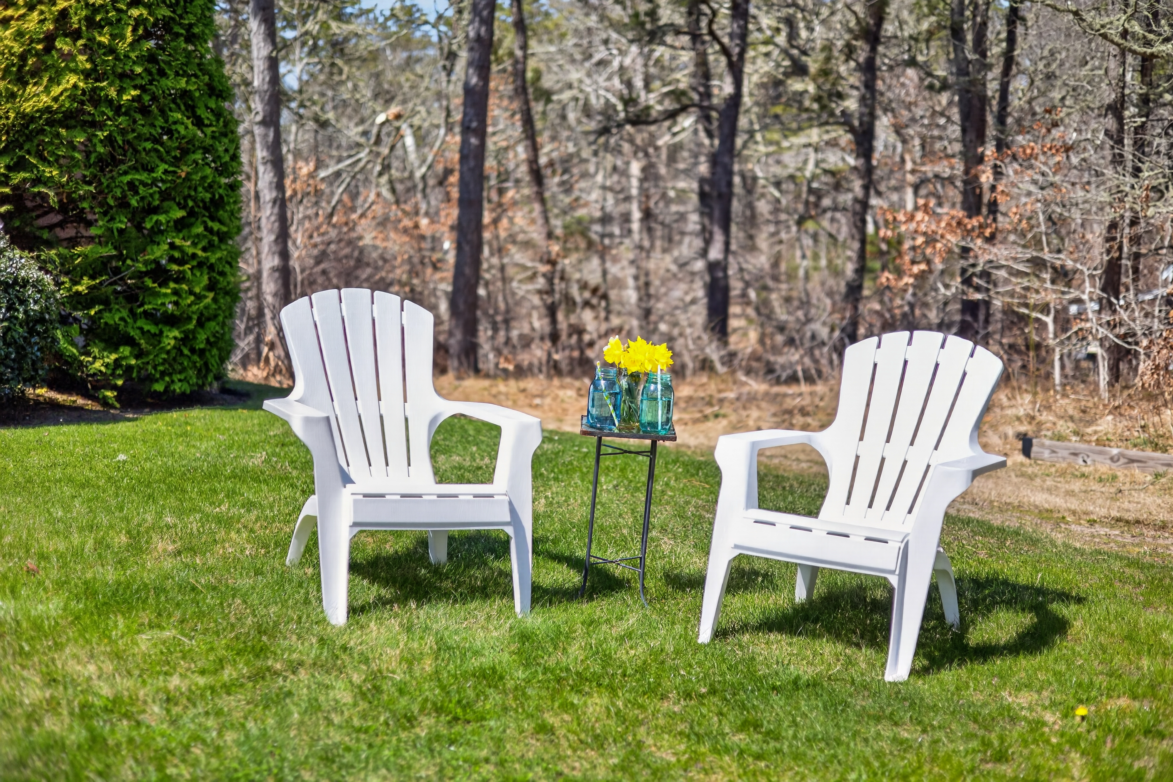  23 Dundee Circle, Harwich, MA, 02645 - 物件實景