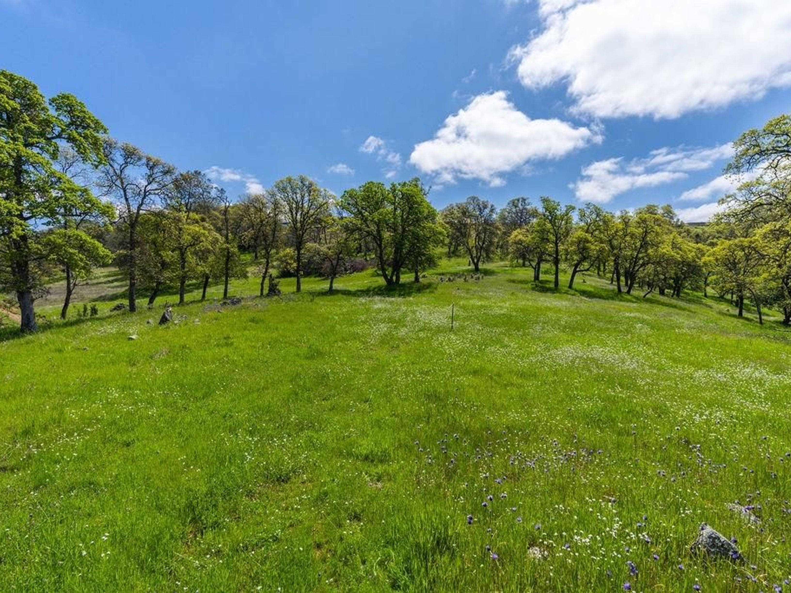  10865 Sunset Drive, Sutter Creek, CA 95685 - 物件實景