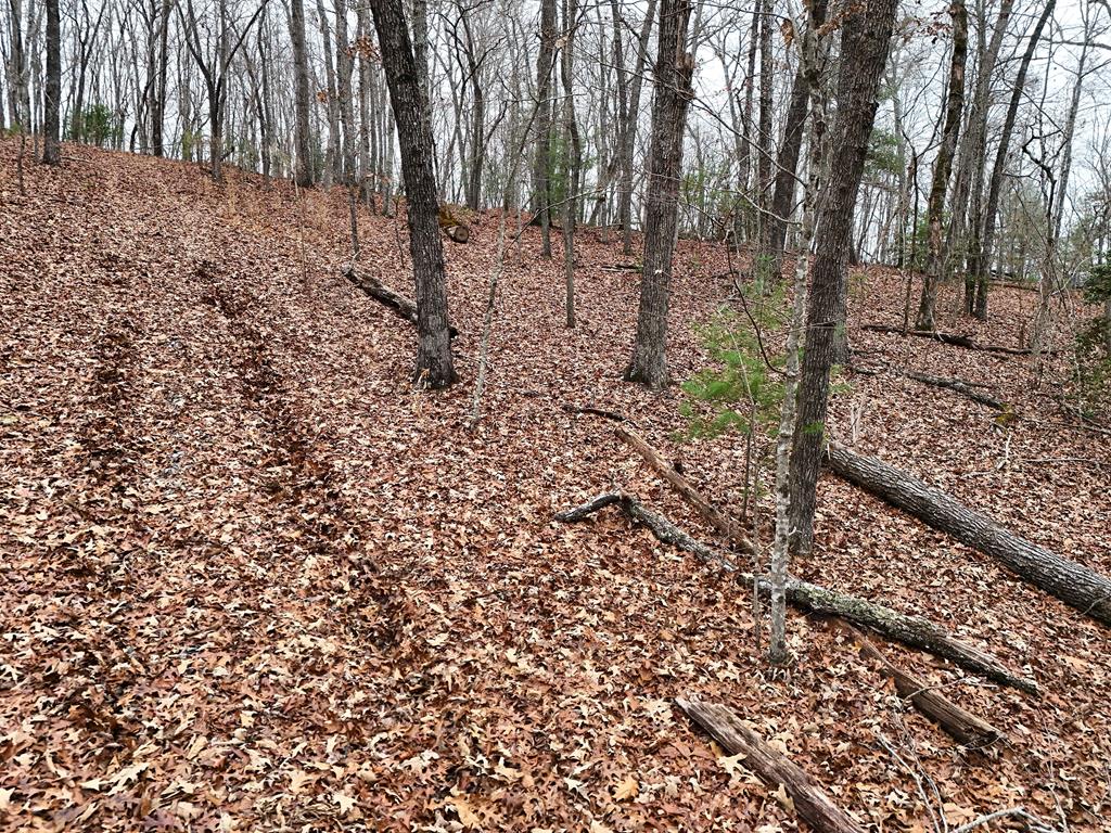 Blue Ridge, Georgia, 30513, United States, ,Land,For Sale,1859049