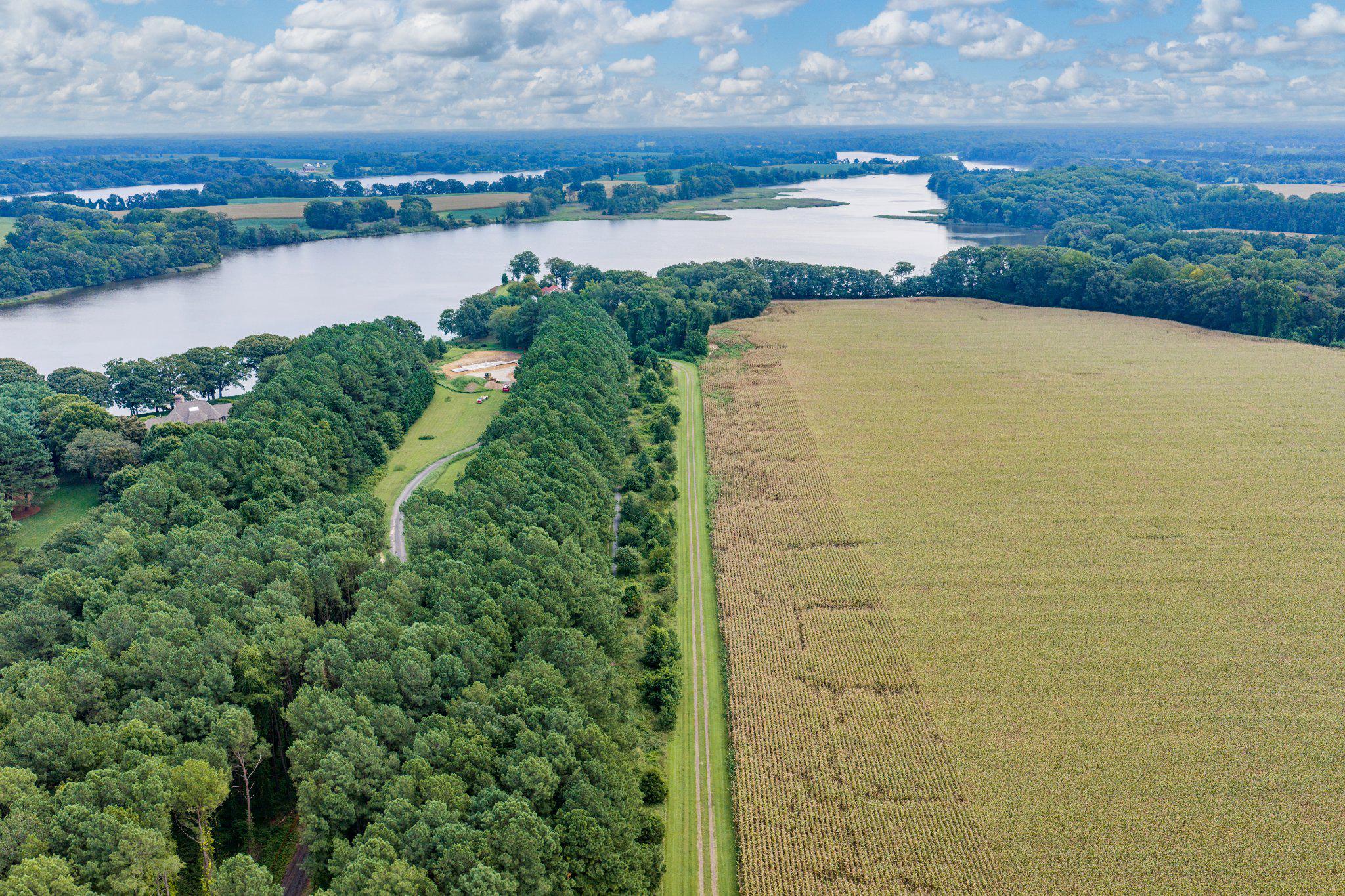  491 Wye Island Road, Queenstown, MD, 21658 - 物件實景