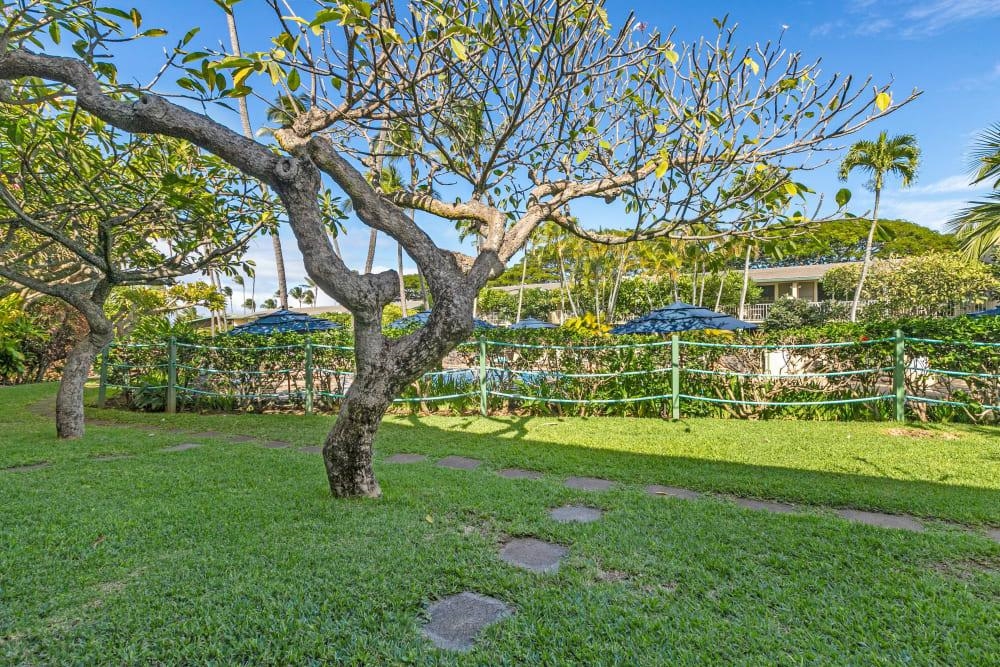 5315 Lower Honoapiilani Rd, Lahaina, Hawaii, 96761, United States, 1 Bedroom Bedrooms, ,1 BathroomBathrooms,Residential,For Sale,5315 Lower Honoapiilani Rd,1565875