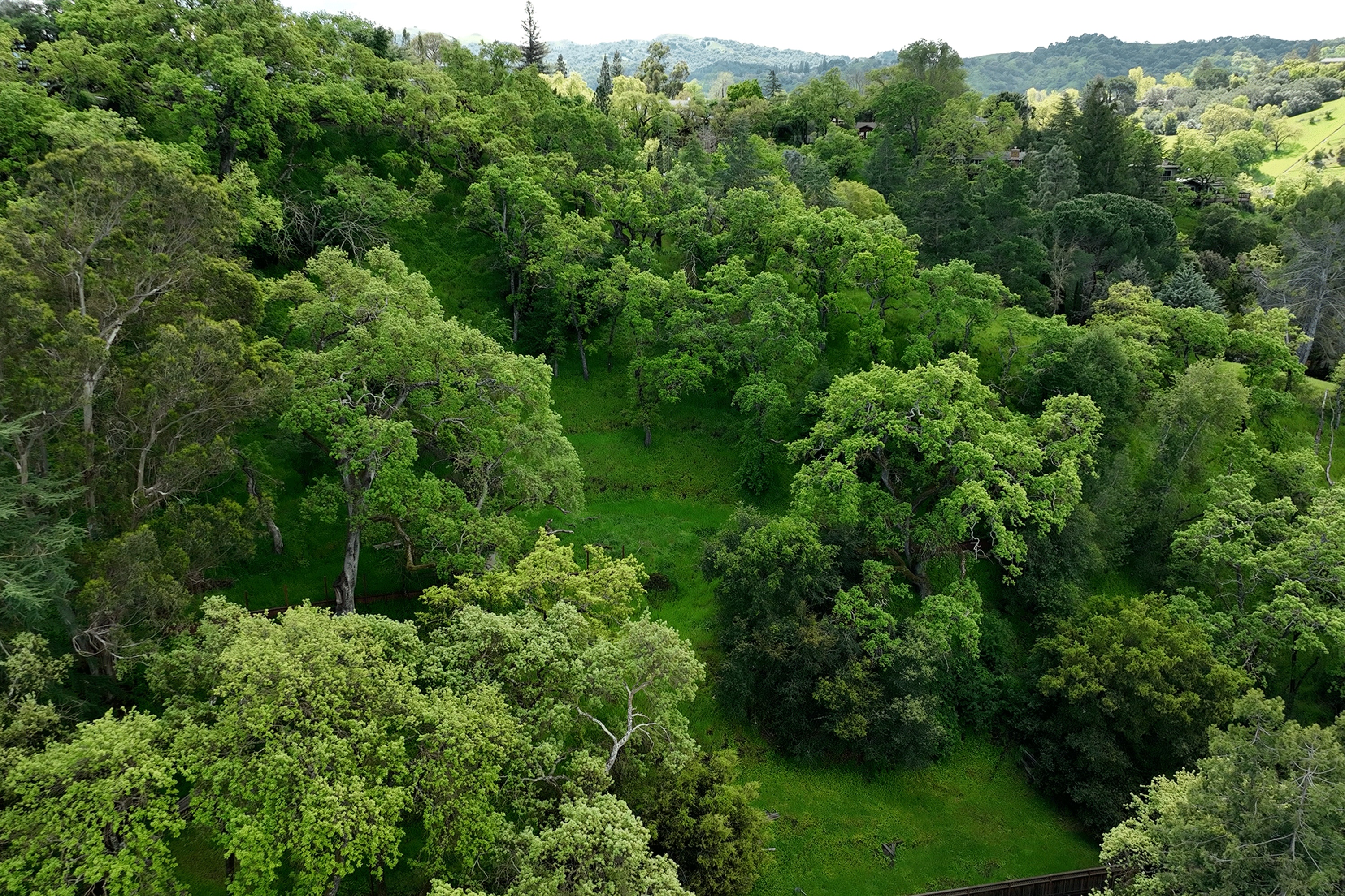  Build Your Dream Home on Nearly an Acre with Sweeping Walnut Creek Views - 物件實景