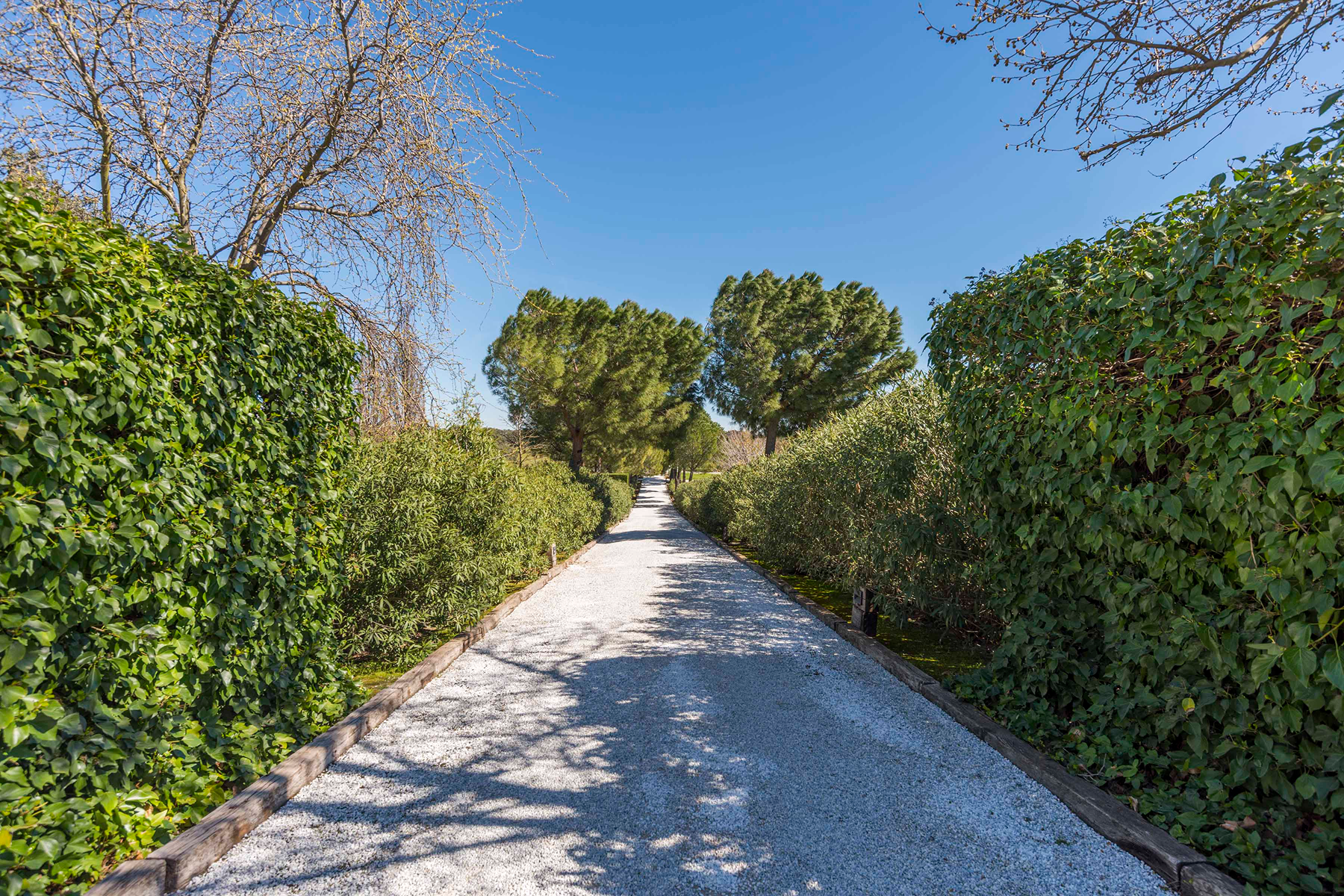 Equestrian estate: Elegance, nature, and horses at the gates of Madrid - 物件實景