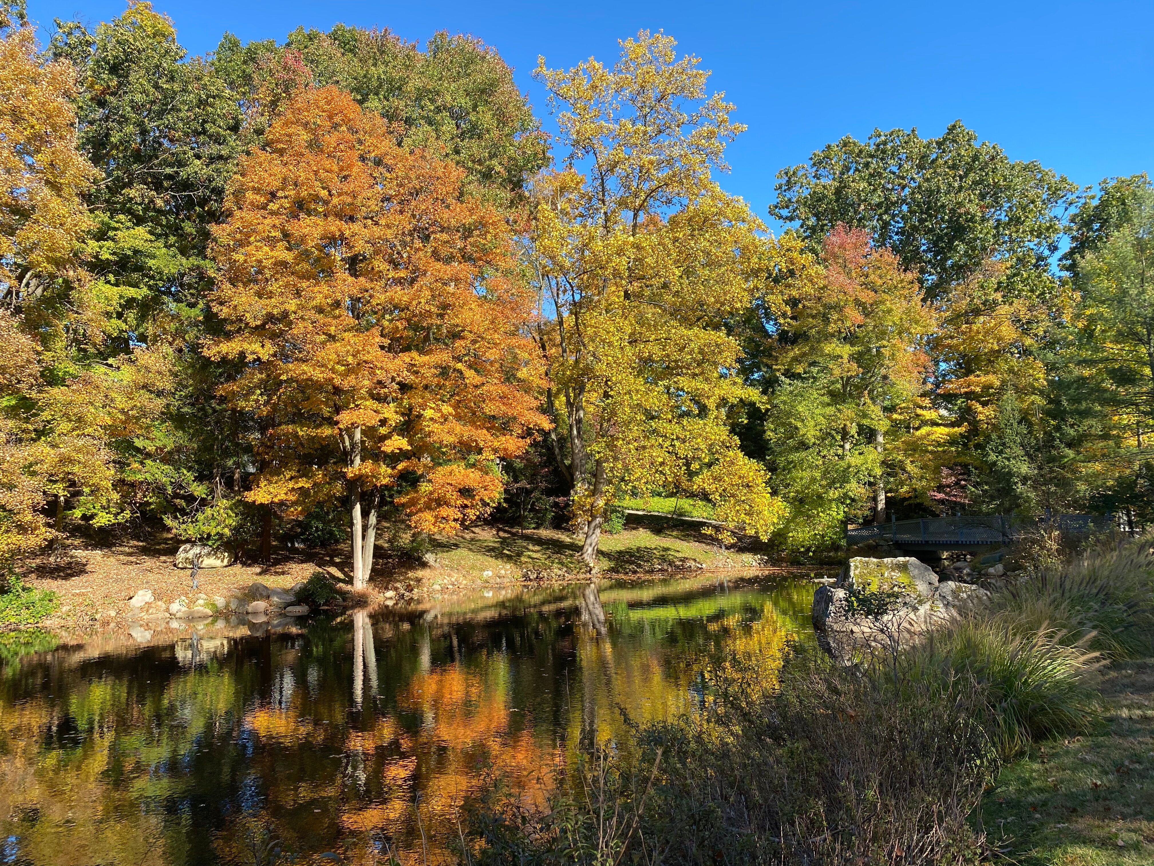  1055 High Mountain Road, Franklin Lakes, NJ 07417 - 物件實景