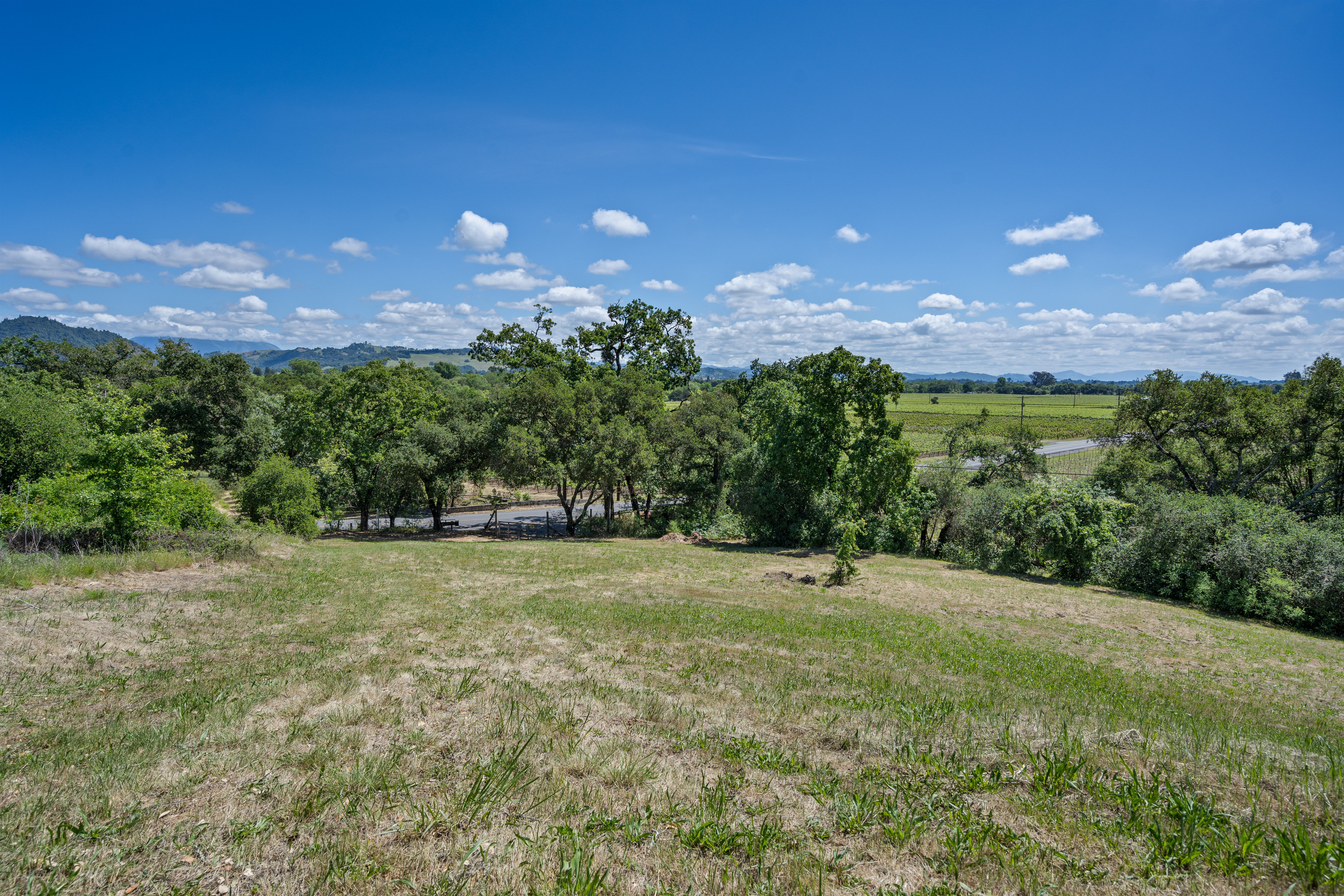  1077 Westside Road, Healdsburg, CA 95448 - 物件實景