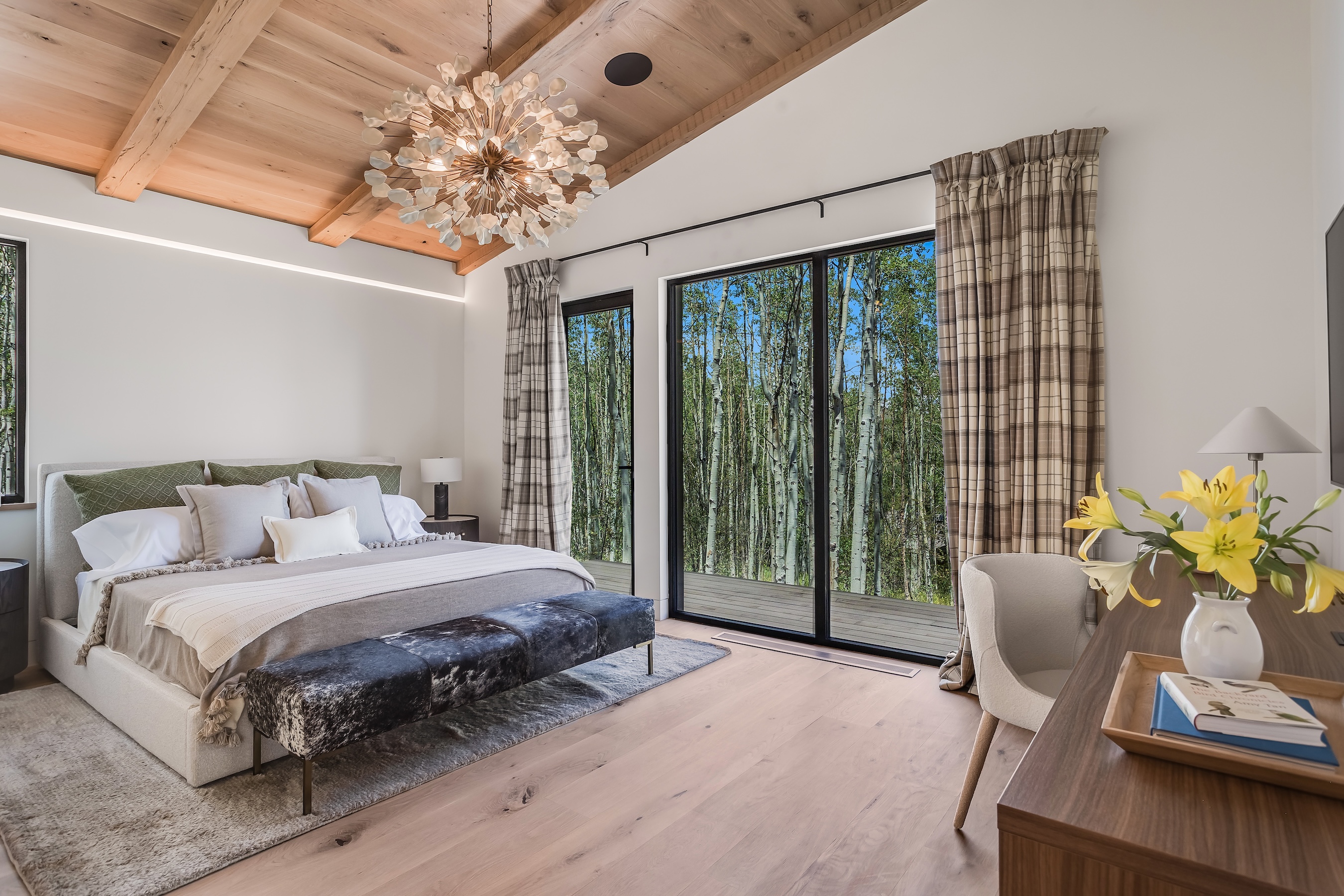  231 Maple Ridge Lane, Snowmass Village, CO 81615 - 物件實景