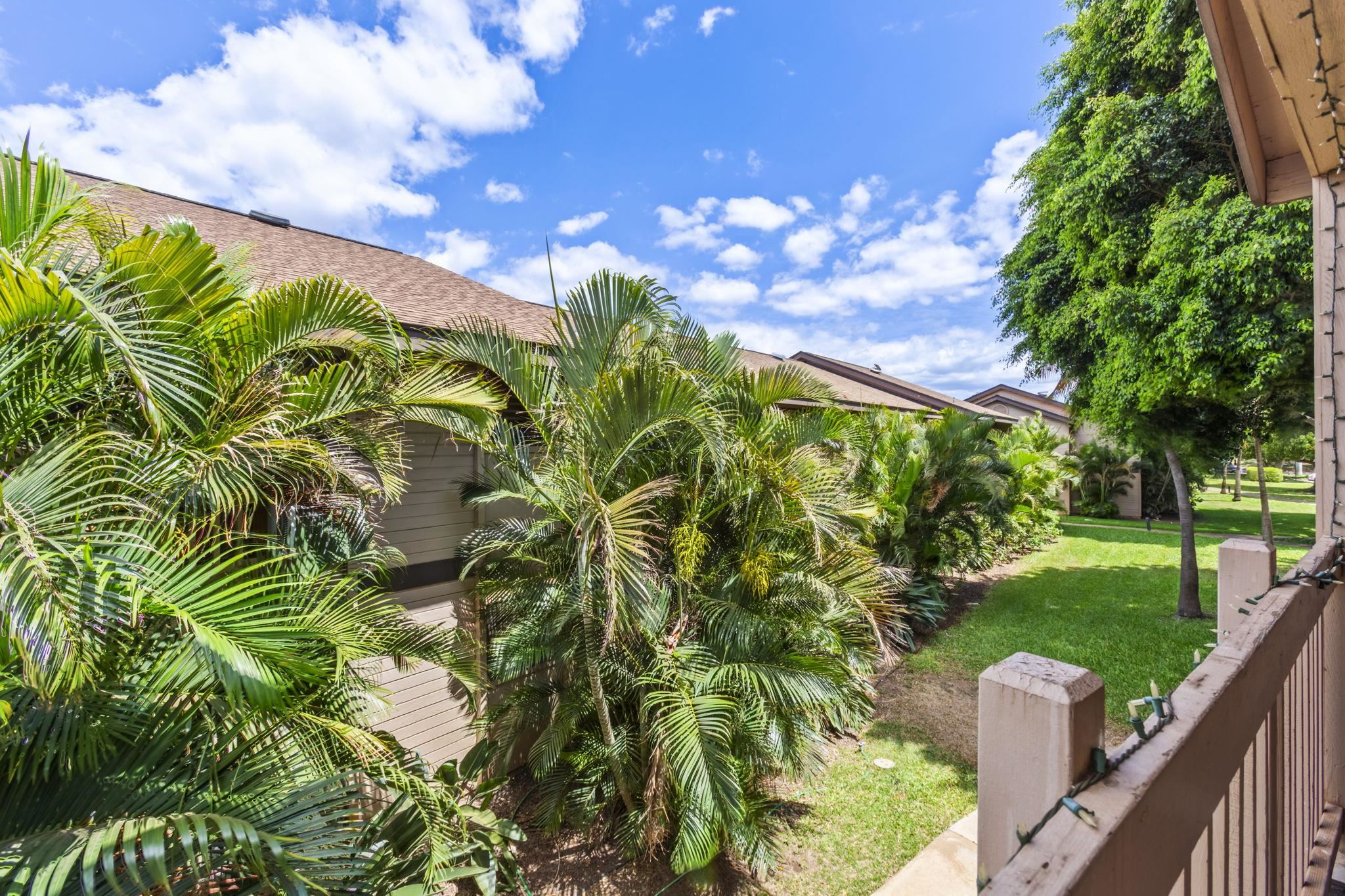 Kihei, Hawaii, 96753, United States, 3 Bedrooms Bedrooms, ,2 BathroomsBathrooms,Residential,For Sale,1901251