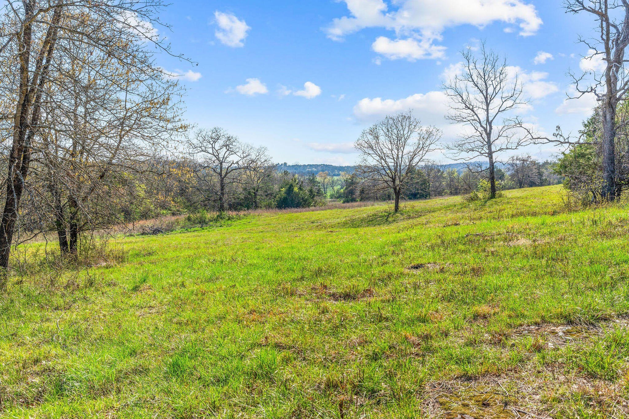 Kirbyville, Missouri, 65679, United States, ,Land,For Sale,1978892