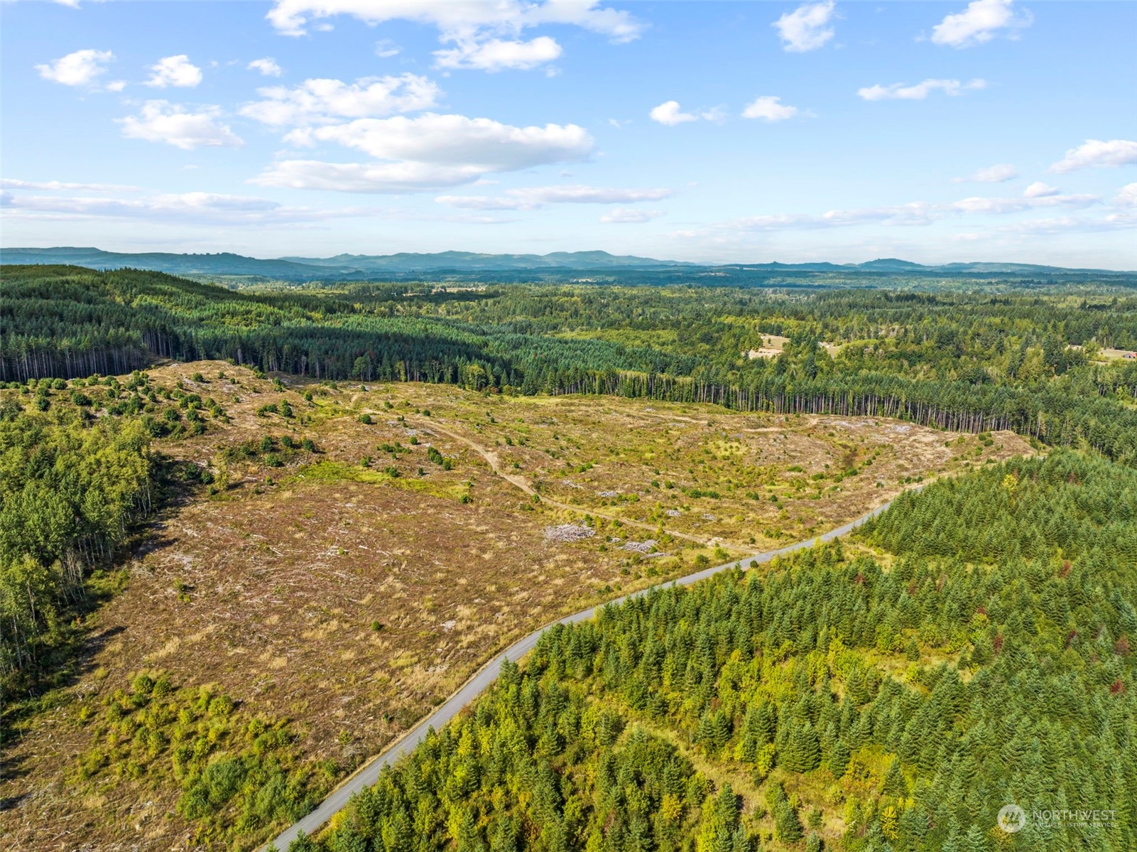 0 Salmon Creek Road, Toledo, Washington, 98591, United States, ,Land,For Sale,0 Salmon Creek Road,1445905