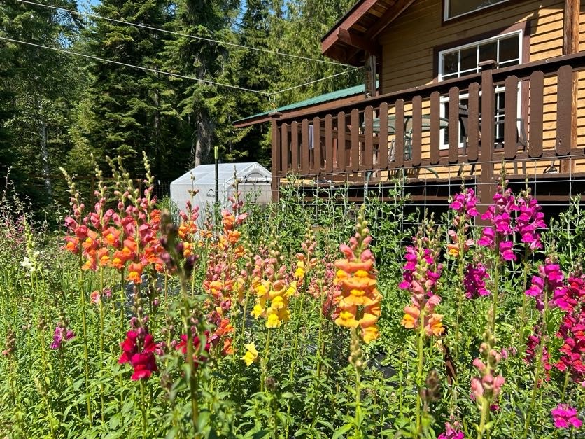 Sandpoint, Idaho, 83864, United States, 2 Bedrooms Bedrooms, ,2 BathroomsBathrooms,Residential,For Sale,2006058