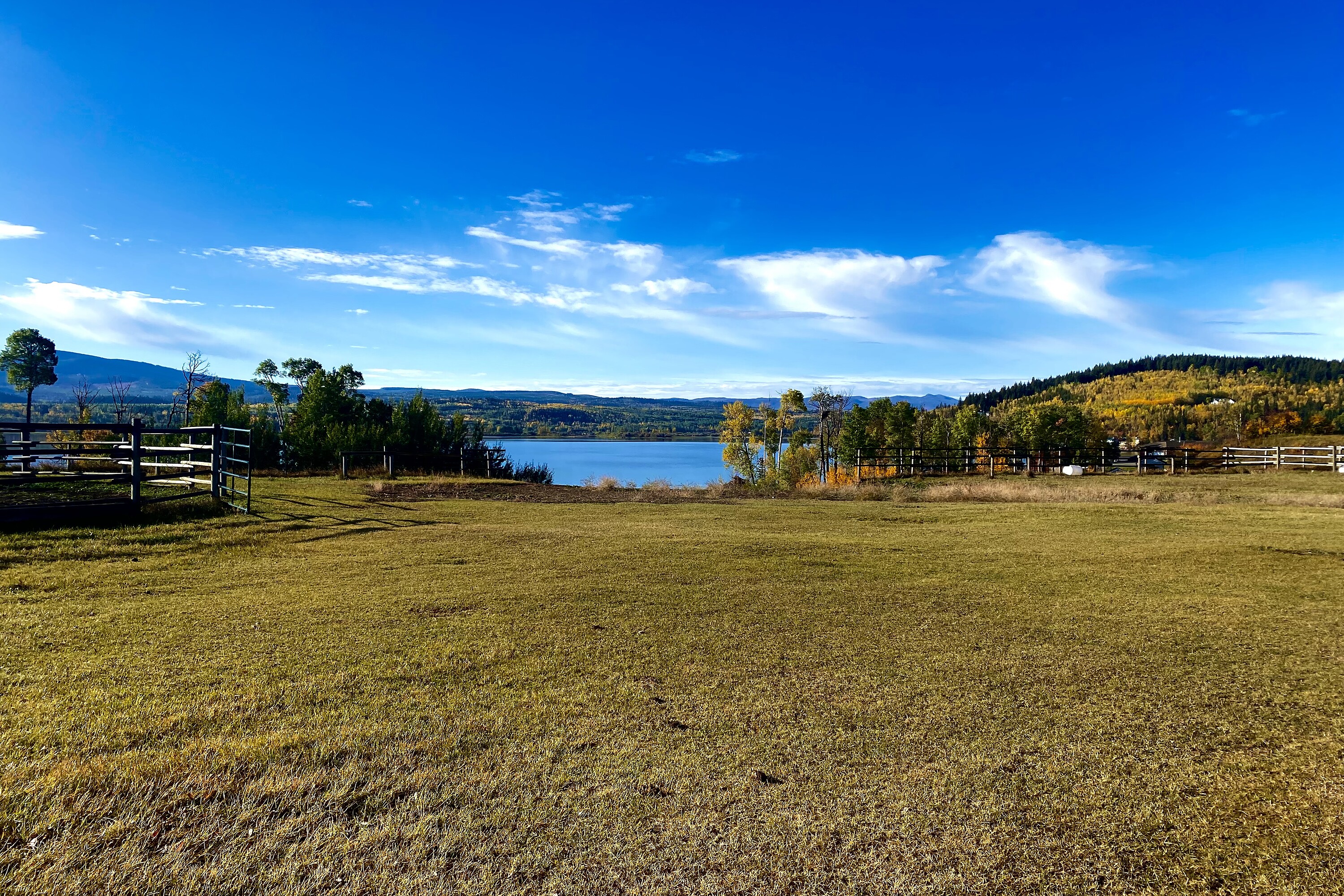  Waterfront Equestrian Living - 物件實景