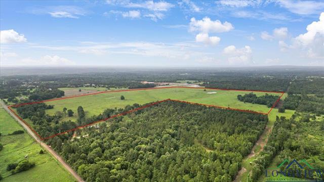 Henderson, Texas, 75654, United States, ,Land,For Sale,1885334