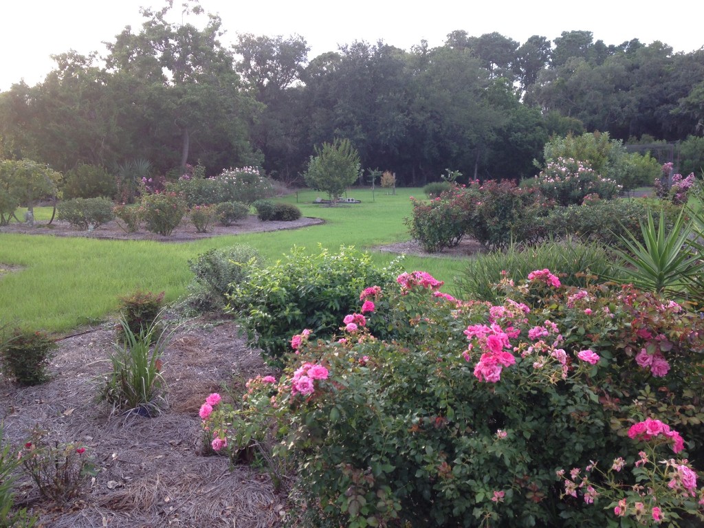 Fernandina Beach, Florida, 32034, United States, ,Land,For Sale,1974147