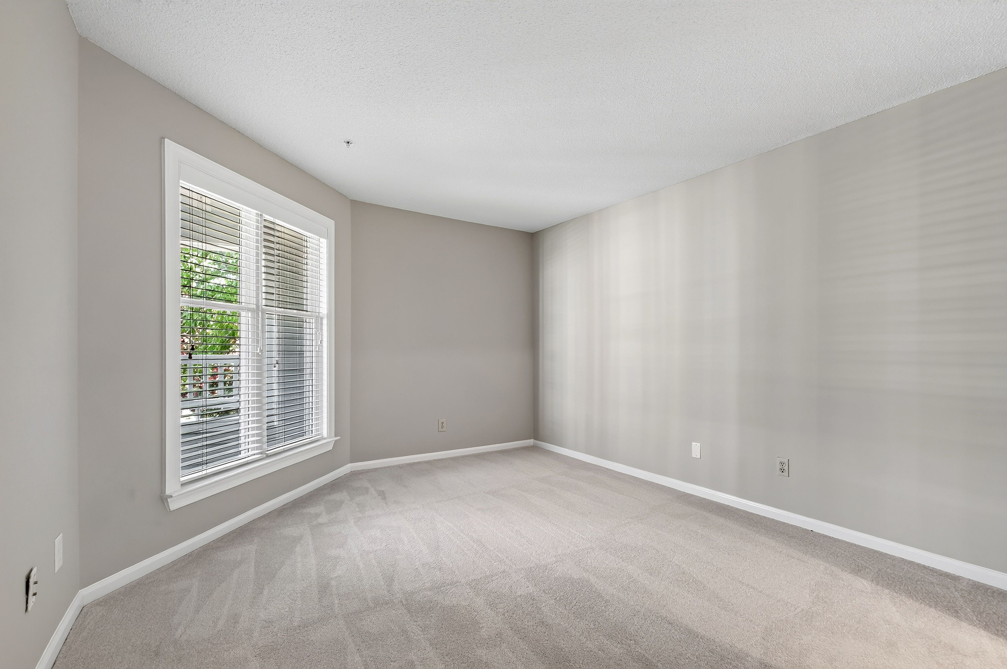  1061 Wirewood Drive, Raleigh, NC 27605 - 物件實景