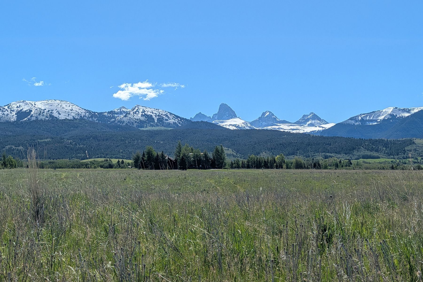  Snow Crest Ranch Drive - 物件實景
