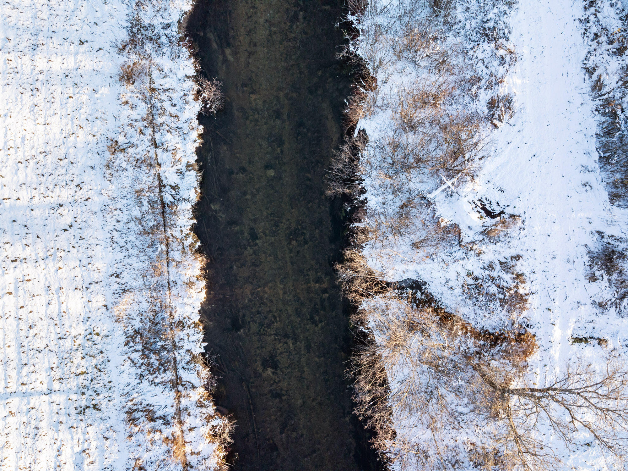 Wolverine, Michigan, 49799, United States, 4 Bedrooms Bedrooms, ,3 BathroomsBathrooms,Residential,For Sale,1992948