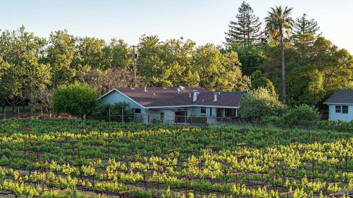 Sonoma, California, 95476, United States, 3 Bedrooms Bedrooms, ,2 BathroomsBathrooms,Residential,For Sale,1798326