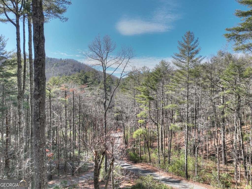 Blue Ridge, Georgia, 30513, United States, 5 Bedrooms Bedrooms, ,3 BathroomsBathrooms,Residential,For Sale,1859014