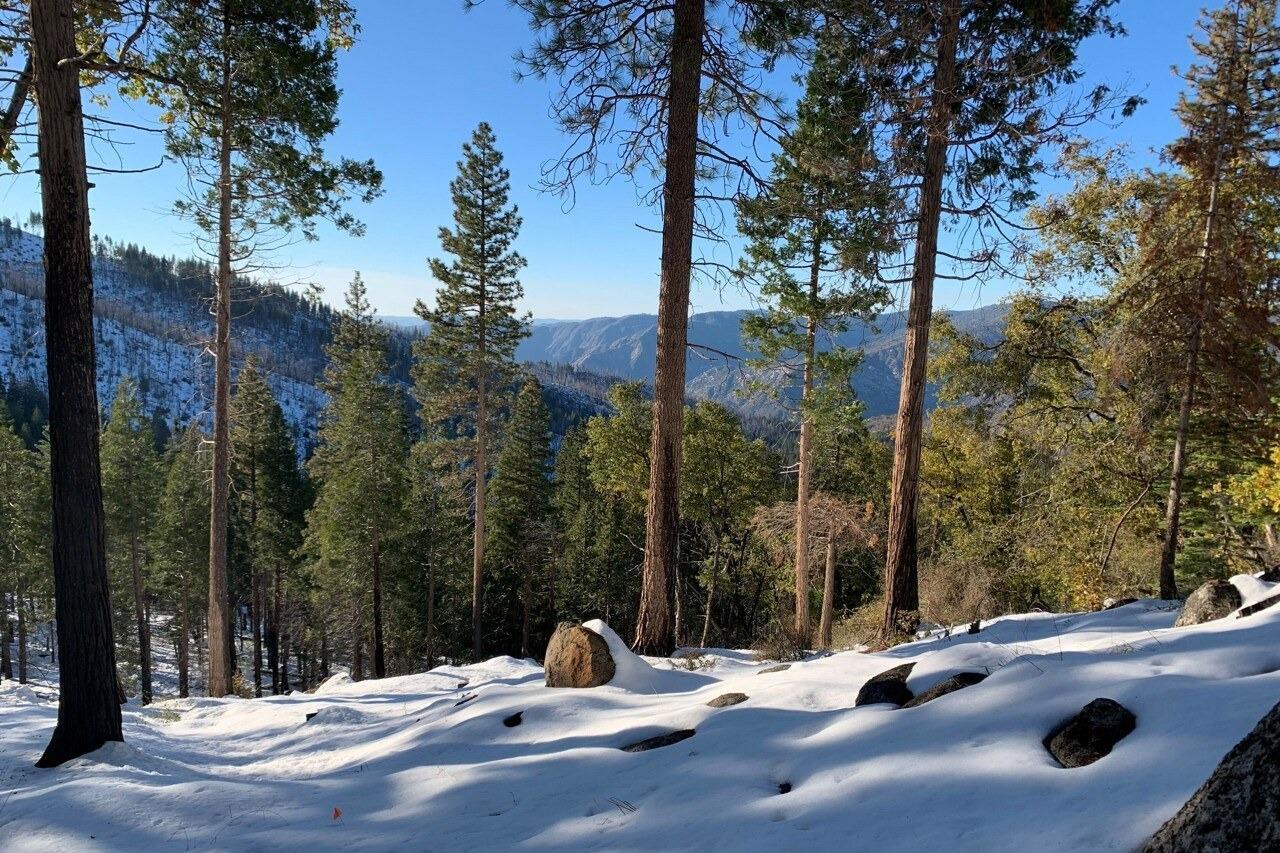 Yosemite, California, 95389, United States, ,Residential,For Sale,1791701