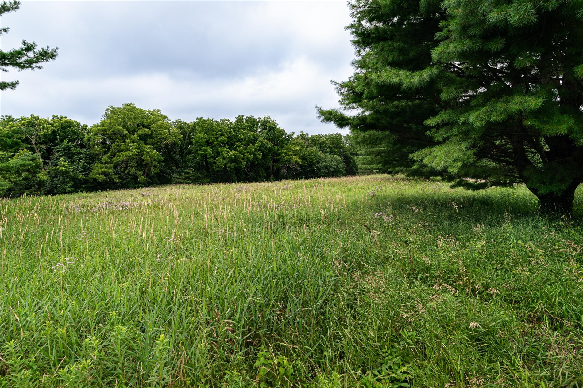 Ferryville, Wisconsin, 54628, United States, 3 Bedrooms Bedrooms, ,3 BathroomsBathrooms,Residential,For Sale,1904221