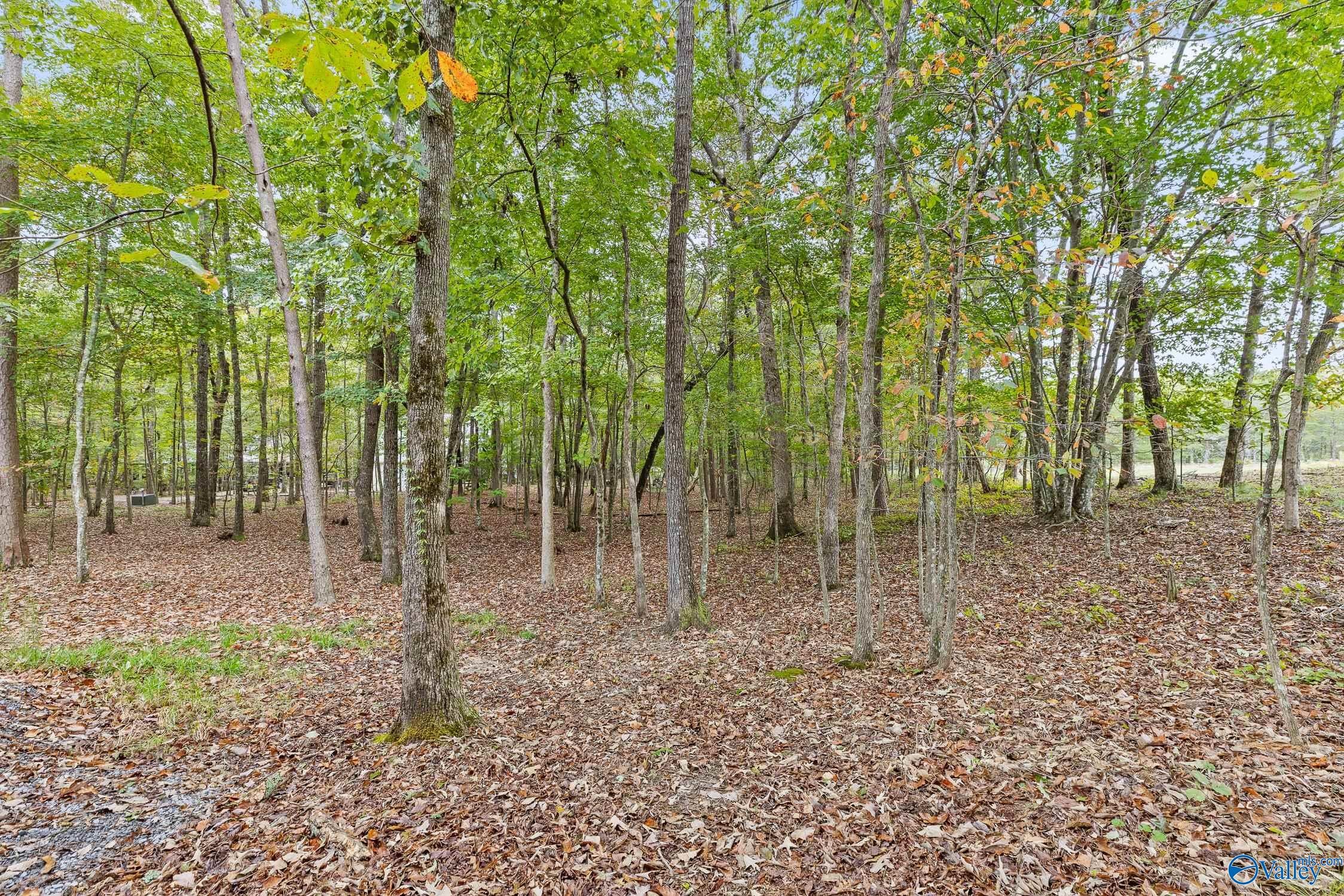 Mentone, Alabama, 35984, United States, 3 Bedrooms Bedrooms, ,1 BathroomBathrooms,Residential,For Sale,1978714