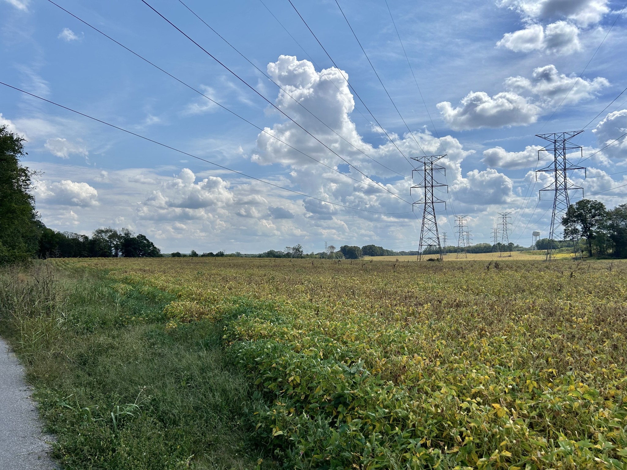 Decherd, Tennessee, 37324, United States, ,Land,For Sale,2016602