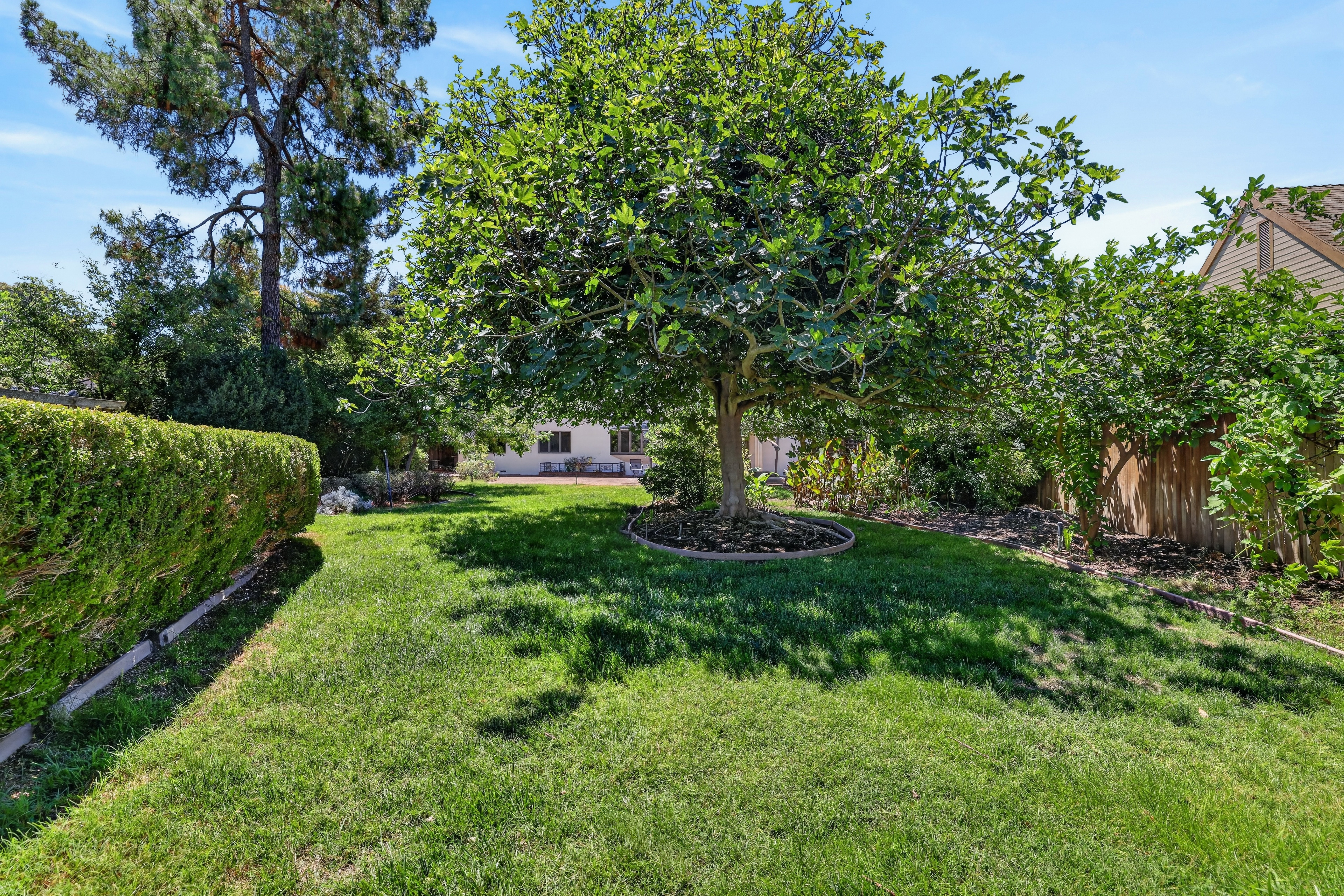  39870 Sharon Avenue, Davis, CA 95616 - 物件實景
