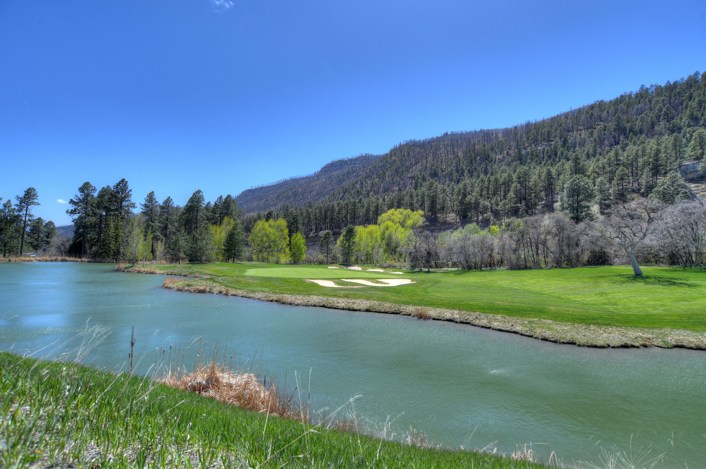  73 S Tamarron Drive #870, Durango, CO 81301 - 物件實景