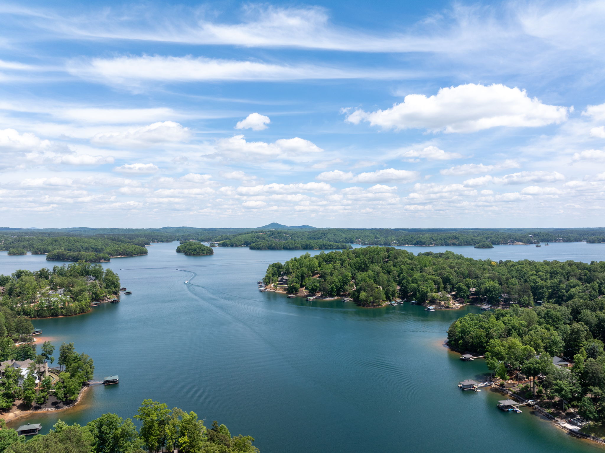  734 Placid Cove Way, Salem, SC 29676 - 物件實景