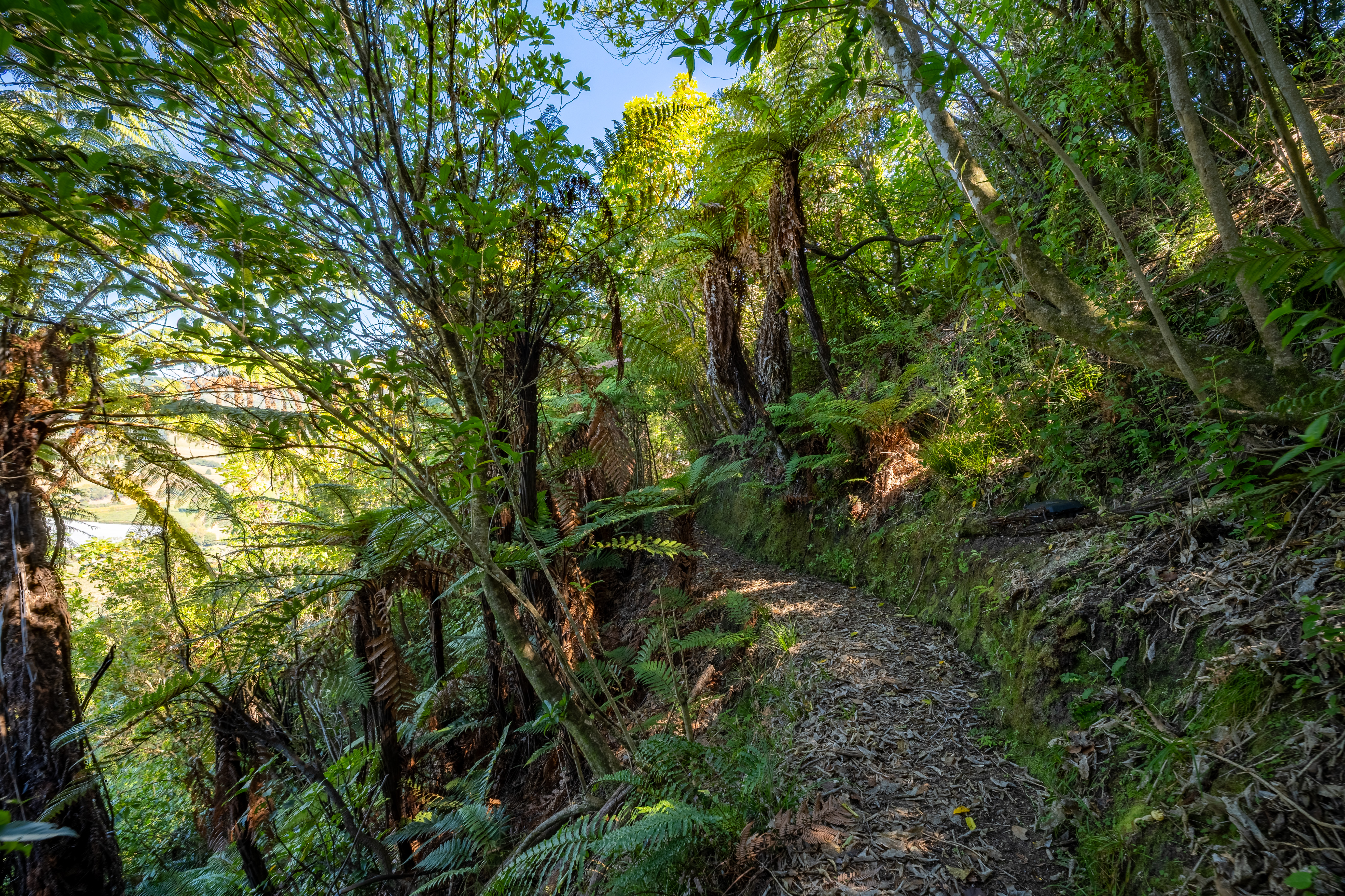  177 Riwaka-Sandy Bay Road, Riwaka - 物件實景