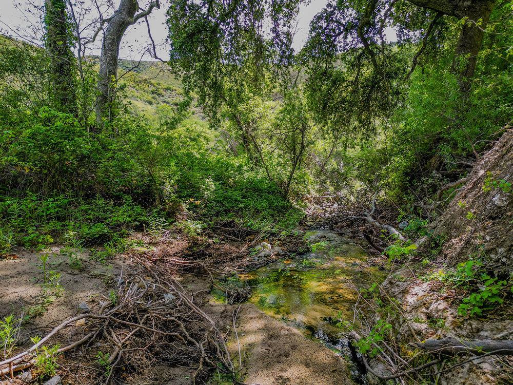 Greenfield, California, 93927, United States, ,Residential,For Sale,1943227