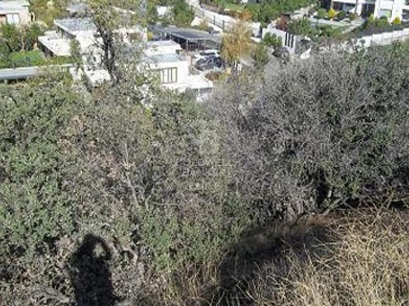 Lo Barnechea, Chile, ,Land,For Sale,1902149