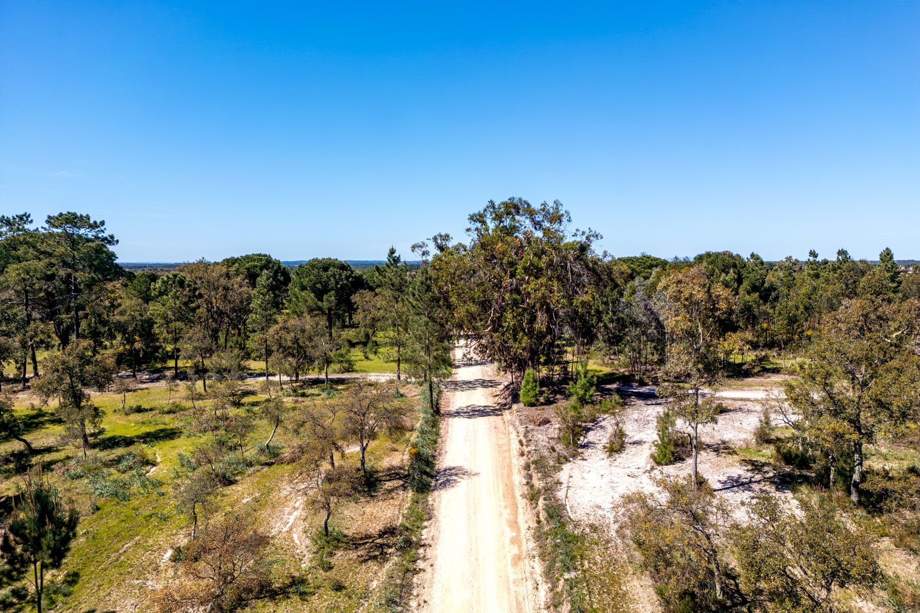  Stand for Sale - 物件實景