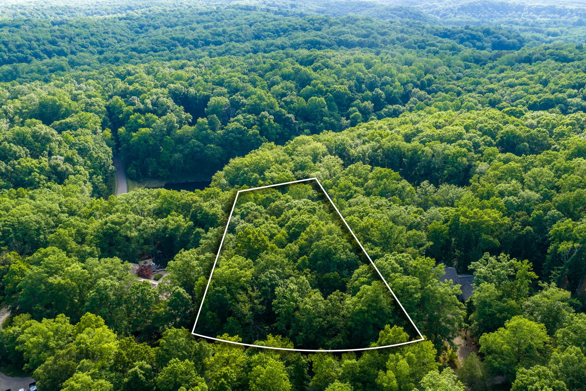  1011 Champion Hills Dr, Kingston Springs, TN, 37082 - 物件實景