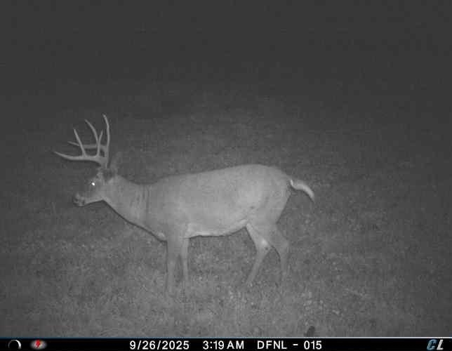 Muscoda, Wisconsin, 53573, United States, 3 Bedrooms Bedrooms, ,3 BathroomsBathrooms,Residential,For Sale,1990387