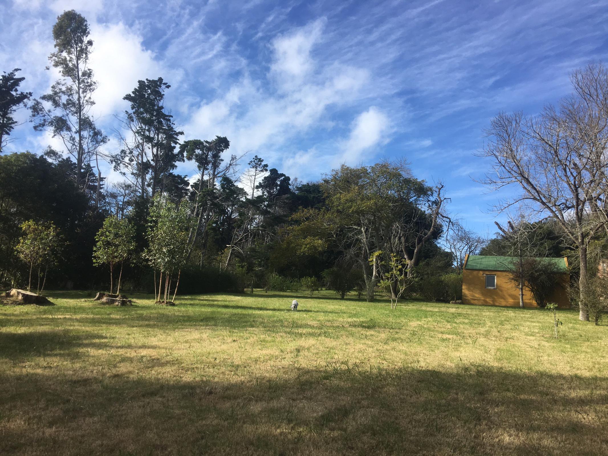  4,4 ha farm in Laguna del Sauce - 物件實景