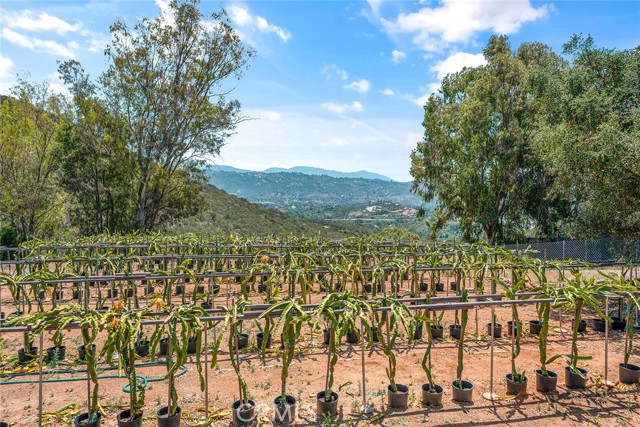 Fallbrook, California, 92028, United States, 2 Bedrooms Bedrooms, ,3 BathroomsBathrooms,Residential,For Sale,1979251