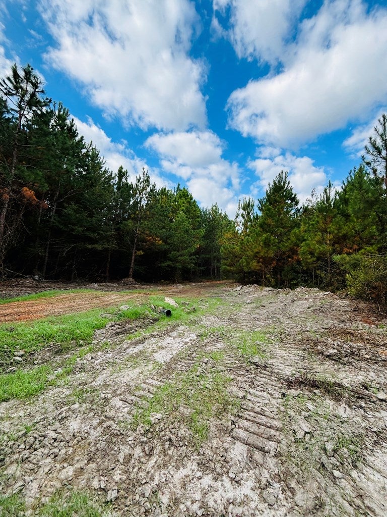 Abbeville, Georgia, 31001, United States, ,Land,For Sale,1975130