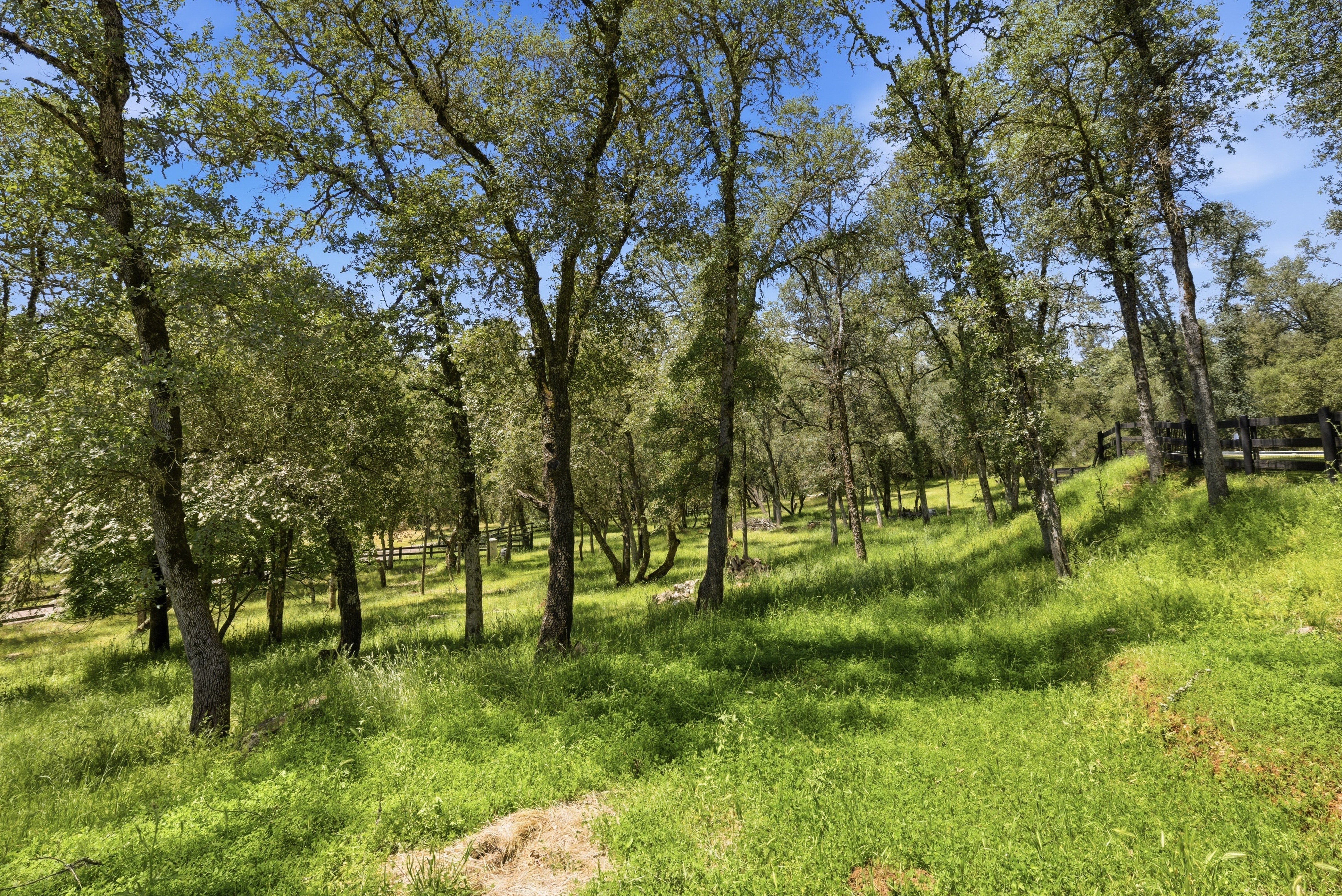  1400 Crooked Mile Court, Placerville, CA 95667 - 物件實景